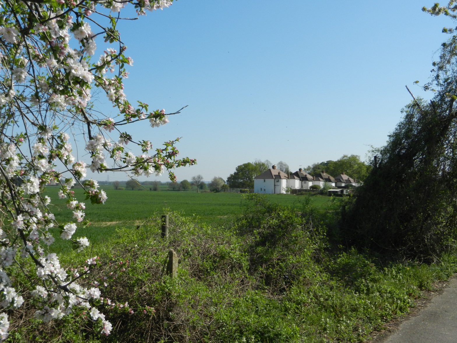 Hunsdon from Widford